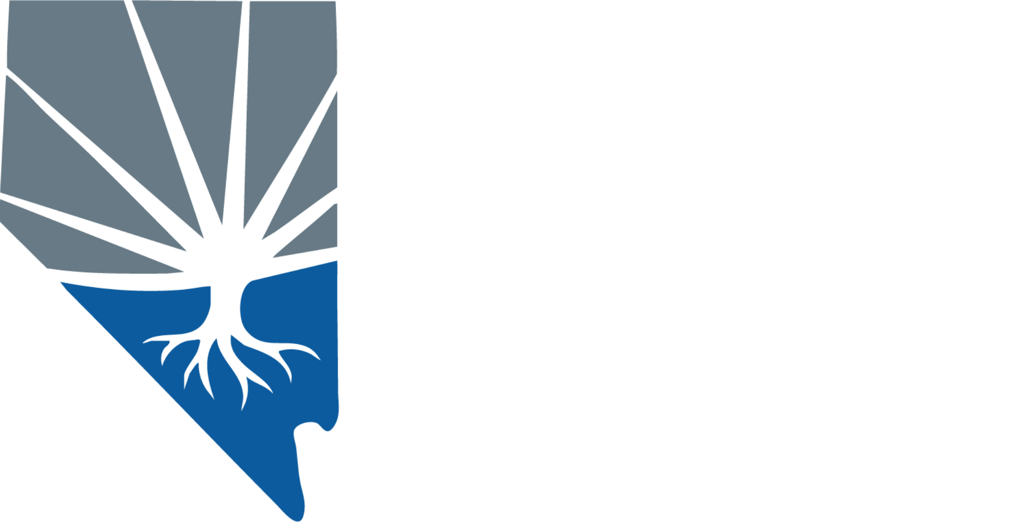 CSD Works Nevada